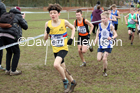 Boys under-13s, 2020 British Athletics Inter Counties Cross Country Champs., Prestwold Hall, Loughborough. Photo: David T. Hewitson/Sports for All Pics